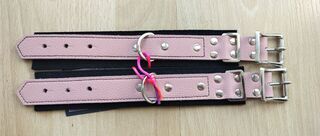 1in Locking buckle cuffs